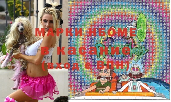 тгк Щёлкино