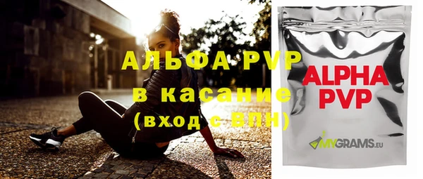 тгк Щёлкино